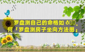 罗盘测自己的命格如 🌸 何「罗盘测房子坐向方法图」